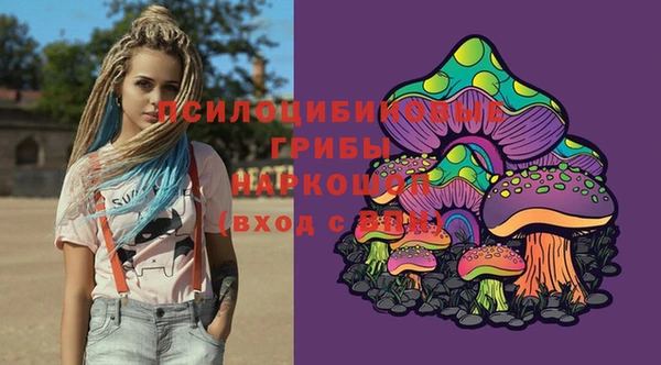 трава Саяногорск