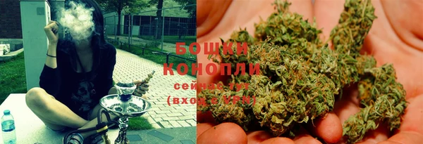 стафф Богородицк