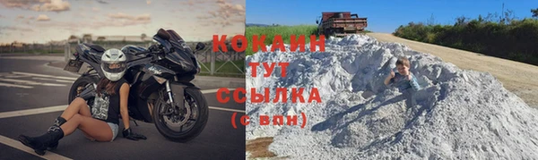 индика Сатка