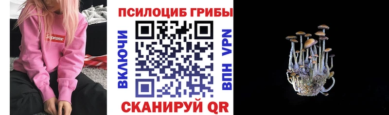 Галлюциногенные грибы ЛСД  Саяногорск 